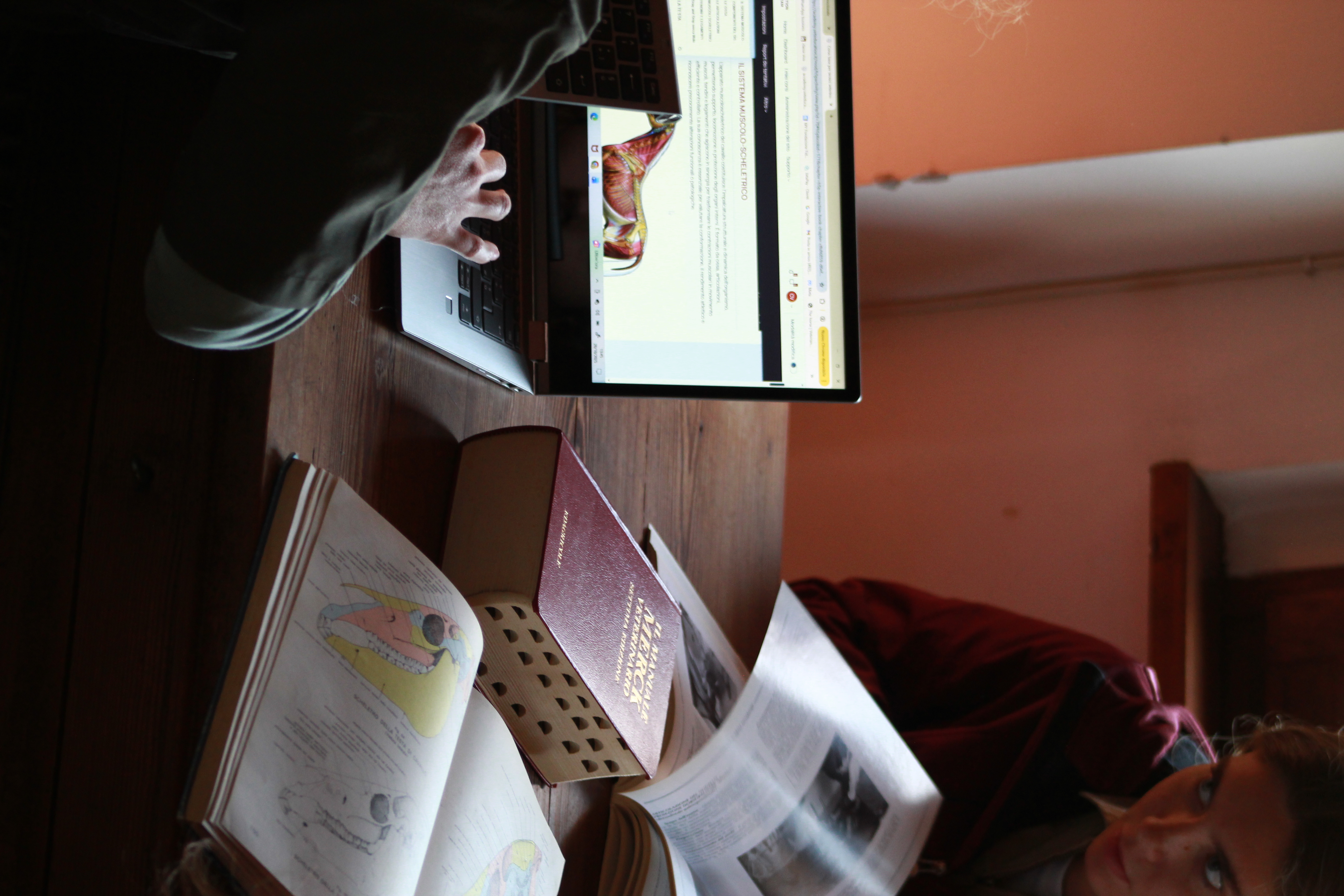 Studentessa che studia materiali veterinari